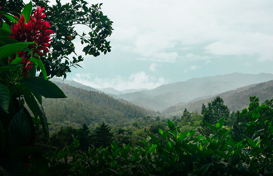 teacher travel groups in Dominican Repulic jungle