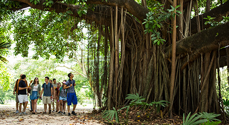 Education travel voucher students in rainforest